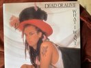 Dead Or Alive What I Want Rare Cover , Westwood Hat . 7” Vinyl