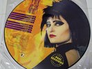 Siouxsie & The Banshees ‎– An Interview With Siouxsie & The Banshees, JPIC LP N4