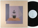 Devendra Banhart - Mala LP + 45 - Nonesuch VG++ Poster