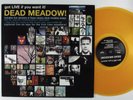 DEAD MEADOW Got Live If You Want It  BOMP  LP NM orange vinyl ^