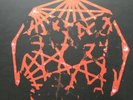 king gizzard and the lizard wizard Live In San Francisco Newbury Comics Vinyl