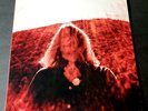 TY SEGALL 