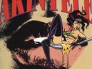 Akinyele - Vagina Diner '93 LP US ORG  Large Professor