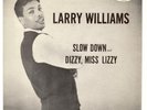 LARRY WILLIAMS 45 PICTURE SLEEVE 