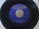 Lee Dorsey A Lover Was Born What Now My Love VG+ AMY Meters funk 45 CLEAN, RARE