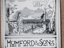 Mumford And Sons Love Your Ground 10
