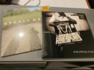 Steely Dan RSD combo Everything Must Go and Two Against Nature