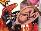 WET FROM BIRTH NEW VINYL