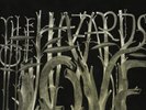The Decemberists-The Hazards Of Love VINYL NEW