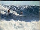 The Sentinals – Big Surf  • LP Vinyl Record