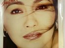 Ana Gabriel – Tierra De Nadie LP Vinyl *NEW/STILL SEALED*