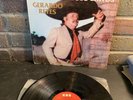 SERIE DE COLECCION 15 AUTENTICOS EXITOS GERARDO REYES LP VINYL RECORD CBS