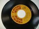Garage Psych 45 The David 