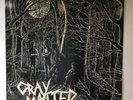 Gray Matter Food For Thought 1985/1990 First Dischord Records Vinyl Pressing