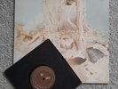PALE SAINTS IN RIBBONS PLUS 45 VINYL LP RECORD