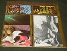 Sonic Youth Sister Vinyl LP Record  1987