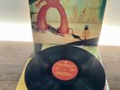Yoshimi Battles the Pink Robots by The Flaming Lips (LP). Black Vinyl.
