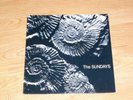 THE SUNDAYS Reading Writing And Arithmetic LP VINYL 1990 ROUGH TRADE RTD133 RARE