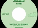 The Illusions - City Of People / Wait Till The Summer / Vinyl 7
