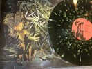King Gizzard and the Lizard Wizard LP Signed By Stu   Murder Of The Universe