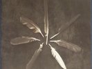 Caspian - Dust & Disquiet on 180g Black vinyl. Triple Crown US pressing.