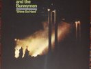 Echo & The Bunnymen - Shine So Hard on Camouflage vinyl.
