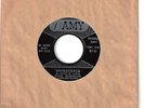 STAN ROBINSON  R&B/popcorn 45  Rhinoceros / Can She Give You Fever  (promo)  NM