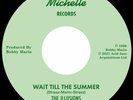 The Illusions - City Of People / Wait Till The Summer / Vinyl 7