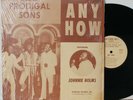 Prodical Sons LP “Any How”   Richburg 128   Sweet Soul Gospel   Shrink