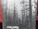 The Cure 12
