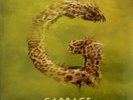 Garbage ?- Strange Little Birds - Double Vinyl Record LP with laser etching NEW