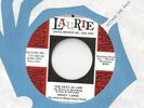 HOAGY LANDS The Next In Line 45 RECORD RARE NORTHERN SOUL MINT STOCK
