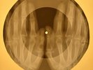 Beatles - It's Only Love X-RAY OF USSR X-RAY BONES RECORD