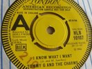 Tommy G and the Charms - I Know What I Want - 1967 UK London HLB 10107 NOR Demo