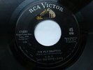 DDT REPELLENTS 45 'FLY SWATTER' USA RCA INSANE ROCKABILLY POPCORN EXOTICA JIVER