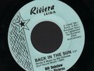 Hear 1988 Bill Dobslaw & Rivieras 25th Reunion Surf 45 (Back in the Sun + 2)