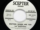 DEMOTRONS Garage Rock PROMO Take This Love I Have b/w Brother Where Are You HEAR