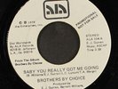 BROTHERS BY CHOICE: baby you really got me going / take a little more ALA 7