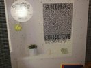 Live at 9:30 [LP] Animal Collective *RARE* OOP 2-LP Vinyl SEALED Panda Bear 2015