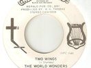 THE WORLD WONDERS Two Wings CHERUB CHICAGO NORTHERN SOUL USA 45
