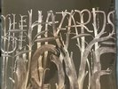 THE DECEMBERISTS THE HAZARDS OF LOVE  VINYL 2X LP NEW SEALED