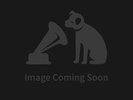 Timber Timbre - Hot Dreams (Full Time Hobby) Vinyl 12