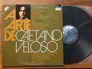 A ARTE DE CAETANO VELOSO 12