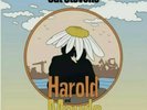 Cat Stevens-Songs From Harold & Maude-Record Store Day 2021 RSD LP New In Hand