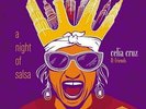 Celia Cruz and friends - A NIGHT OF SALSA - Vinyl 2 LP - NEW & SEALED