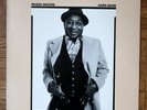 VINYLE LP 33T / MUDDY WATERS - HARD AGAIN