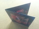 Marc And The Mambas Vinyl DoLp Torment And Toreros UK 1st Mint -