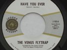 Garage Psych Bay Area THE VENUS FLYTRAP Have You Ever / Note EX JAGUAR 45 HEAR