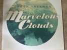 Aaron Freeman Marvelous Clouds Ween Vinyl