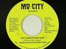 Funk/Sweet Soul 45 - Dani Raye & Nature's Way - Try Something New - Mo-City VG++